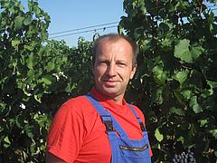 Imre Vincovich (Chef of our vinyards)