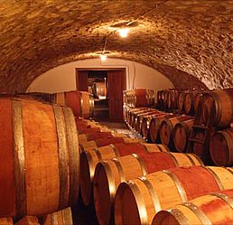 Barriquekeller im Weingut JURIS