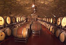 Güntherkeller für Pinot noir
