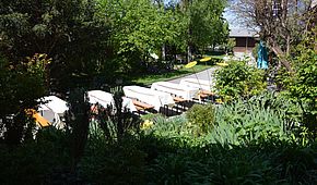 DSC 0002