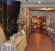 DSC 0014