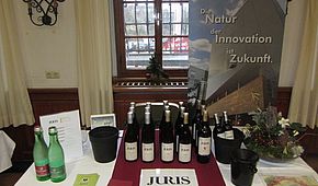 IMG 0519