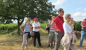 IMG 4573