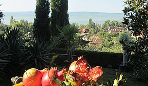 IMG 3052