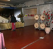 IMG 3220
