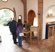 IMG 3247