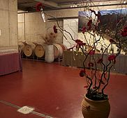 IMG 3266