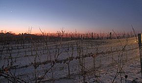IMG 6388