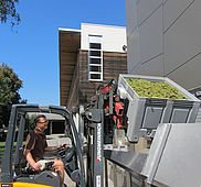 IMG 0318