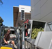 IMG 0319