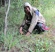 IMG 5192