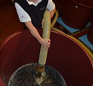 DSC 0003 01