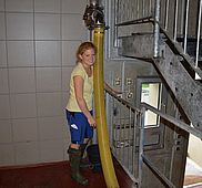 DSC 0004 01