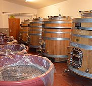 DSC 0028