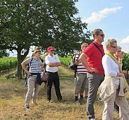 IMG 4573