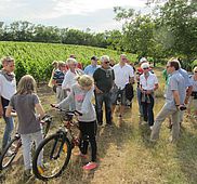 IMG 4568