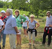 IMG 4570