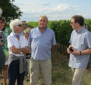 IMG 4571