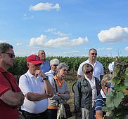 IMG 4576