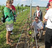 IMG 4584