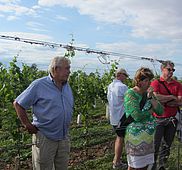IMG 4585