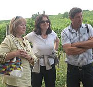 IMG 2610