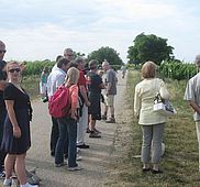 IMG 2623