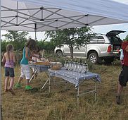 IMG 2631