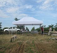 IMG 2638