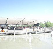 IMG 3081