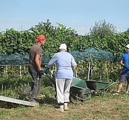 IMG 4798