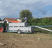 IMG 4799