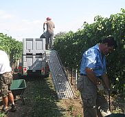 IMG 4803