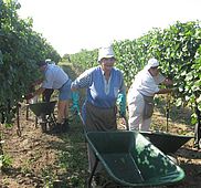 IMG 4804