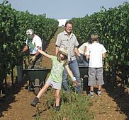 IMG 4811