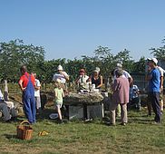IMG 4832
