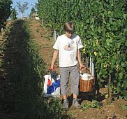 IMG 4838
