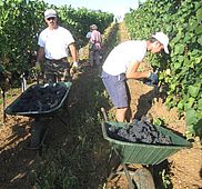 IMG 4839