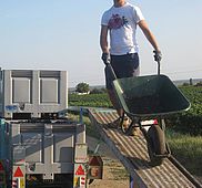 IMG 4844