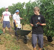 IMG 4851