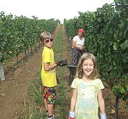 IMG 4855