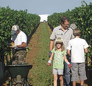 IMG 4810