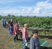 IMG 6765